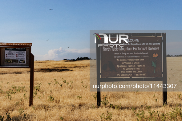 The Park Fire's forward movement is being seen from North Table Mountain Ecological Reserve, near Oroville, Calif., on Sunday, July 28, 2024...