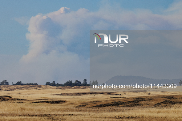 The Park Fire's forward movement is being seen from North Table Mountain Ecological Reserve, near Oroville, Calif., on Sunday, July 28, 2024...