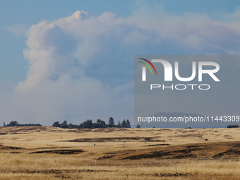 The Park Fire's forward movement is being seen from North Table Mountain Ecological Reserve, near Oroville, Calif., on Sunday, July 28, 2024...