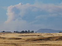 The Park Fire's forward movement is being seen from North Table Mountain Ecological Reserve, near Oroville, Calif., on Sunday, July 28, 2024...