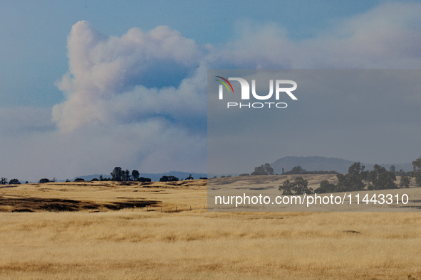 The Park Fire's forward movement is being seen from North Table Mountain Ecological Reserve, near Oroville, Calif., on Sunday, July 28, 2024...