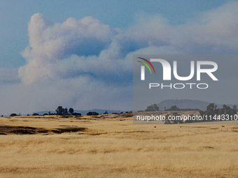 The Park Fire's forward movement is being seen from North Table Mountain Ecological Reserve, near Oroville, Calif., on Sunday, July 28, 2024...