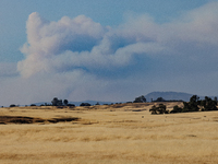 The Park Fire's forward movement is being seen from North Table Mountain Ecological Reserve, near Oroville, Calif., on Sunday, July 28, 2024...