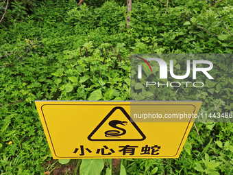 A sign reading ''Beware of snakes'' is being seen on a roadside in Yanbian, China, on July 14, 2024. (