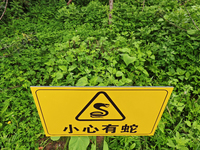 A sign reading ''Beware of snakes'' is being seen on a roadside in Yanbian, China, on July 14, 2024. (