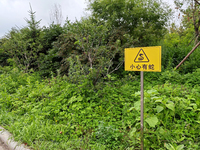 A sign reading ''Beware of snakes'' is being seen on a roadside in Yanbian, China, on July 14, 2024. (