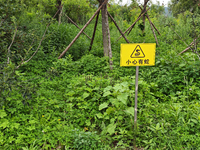 A sign reading ''Beware of snakes'' is being seen on a roadside in Yanbian, China, on July 14, 2024. (