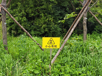 A sign reading ''Beware of snakes'' is being seen on a roadside in Yanbian, China, on July 14, 2024. (