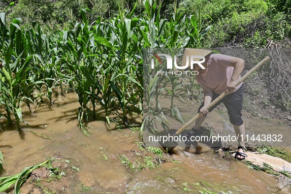 A farmer is clearing floodwater at a farm in Boziyu village, Miaozi Town, Qingzhou city, East China's Shandong province, on July 30, 2024. 