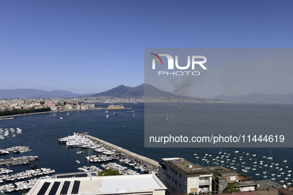 A new fire is affecting the protected areas of the Vesuvius National Park in Naples, Italy, on July 30, 2024 