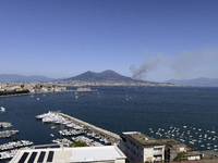 A new fire is affecting the protected areas of the Vesuvius National Park in Naples, Italy, on July 30, 2024 (