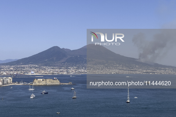 A new fire is affecting the protected areas of the Vesuvius National Park in Naples, Italy, on July 30, 2024 