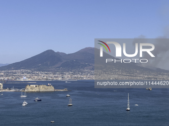 A new fire is affecting the protected areas of the Vesuvius National Park in Naples, Italy, on July 30, 2024 (