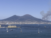 A new fire is affecting the protected areas of the Vesuvius National Park in Naples, Italy, on July 30, 2024 (