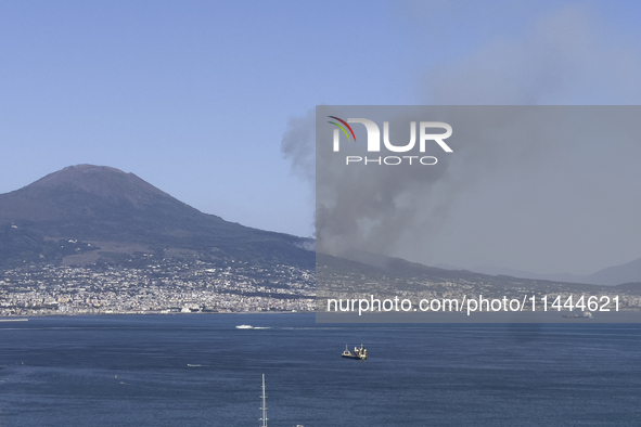 A new fire is affecting the protected areas of the Vesuvius National Park in Naples, Italy, on July 30, 2024 