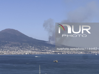 A new fire is affecting the protected areas of the Vesuvius National Park in Naples, Italy, on July 30, 2024 (