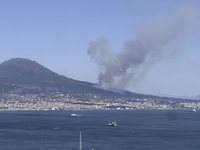 A new fire is affecting the protected areas of the Vesuvius National Park in Naples, Italy, on July 30, 2024 (