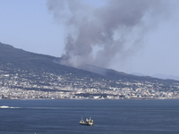 A new fire is affecting the protected areas of the Vesuvius National Park in Naples, Italy, on July 30, 2024 (