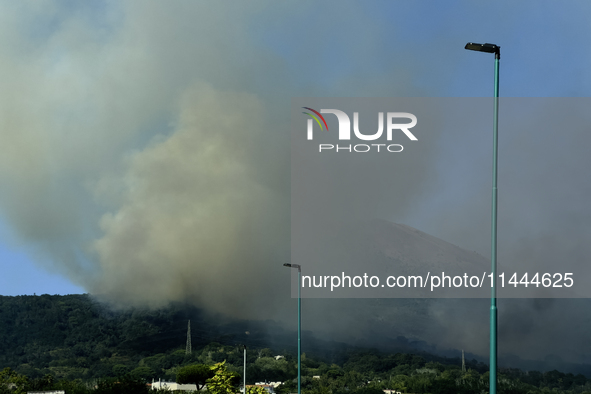 A new fire is affecting the protected areas of the Vesuvius National Park in Naples, Italy, on July 30, 2024 