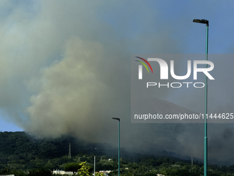 A new fire is affecting the protected areas of the Vesuvius National Park in Naples, Italy, on July 30, 2024 (