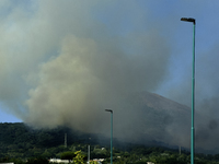 A new fire is affecting the protected areas of the Vesuvius National Park in Naples, Italy, on July 30, 2024 (