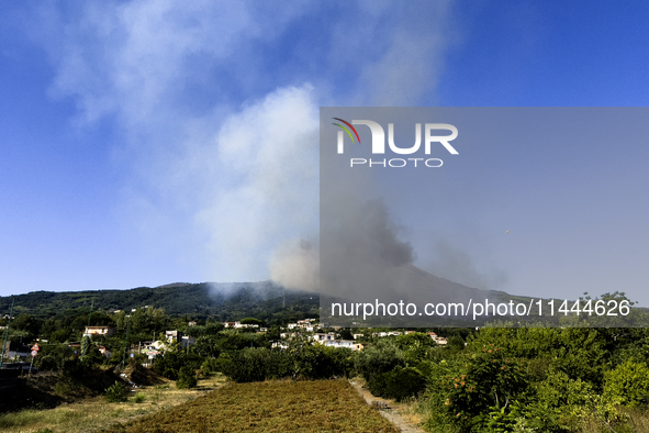 A new fire is affecting the protected areas of the Vesuvius National Park in Naples, Italy, on July 30, 2024 