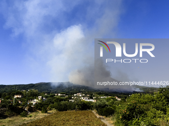 A new fire is affecting the protected areas of the Vesuvius National Park in Naples, Italy, on July 30, 2024 (