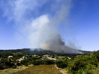 A new fire is affecting the protected areas of the Vesuvius National Park in Naples, Italy, on July 30, 2024 (