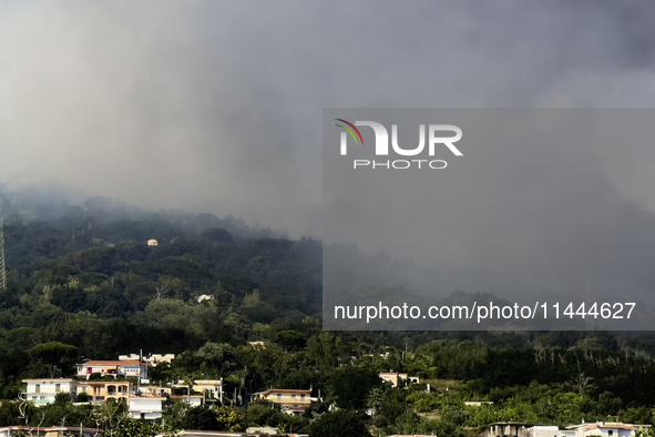 A new fire is affecting the protected areas of the Vesuvius National Park in Naples, Italy, on July 30, 2024 