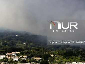 A new fire is affecting the protected areas of the Vesuvius National Park in Naples, Italy, on July 30, 2024 (