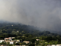 A new fire is affecting the protected areas of the Vesuvius National Park in Naples, Italy, on July 30, 2024 (