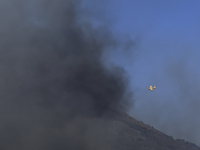 A new fire is affecting the protected areas of the Vesuvius National Park in Naples, Italy, on July 30, 2024 (