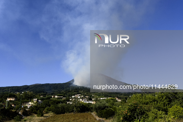 A new fire is affecting the protected areas of the Vesuvius National Park in Naples, Italy, on July 30, 2024 