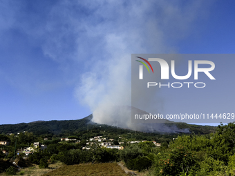 A new fire is affecting the protected areas of the Vesuvius National Park in Naples, Italy, on July 30, 2024 (