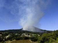 A new fire is affecting the protected areas of the Vesuvius National Park in Naples, Italy, on July 30, 2024 (