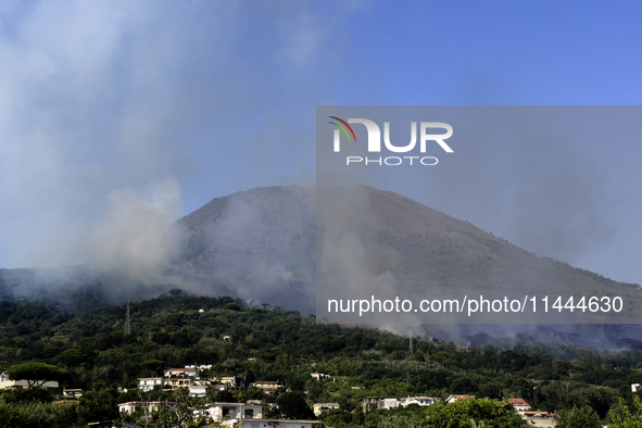 A new fire is affecting the protected areas of the Vesuvius National Park in Naples, Italy, on July 30, 2024 