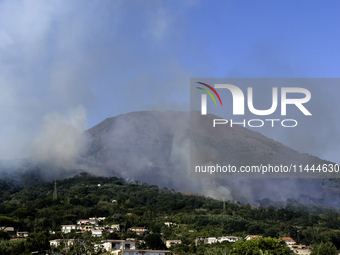 A new fire is affecting the protected areas of the Vesuvius National Park in Naples, Italy, on July 30, 2024 (