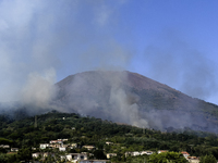 A new fire is affecting the protected areas of the Vesuvius National Park in Naples, Italy, on July 30, 2024 (