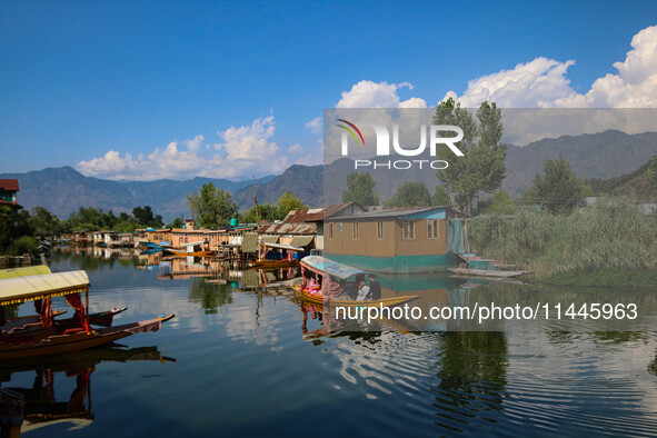 A man is rowing a boat on the waters of Dal Lake in Srinagar, Jammu and Kashmir, on July 31, 2024. 