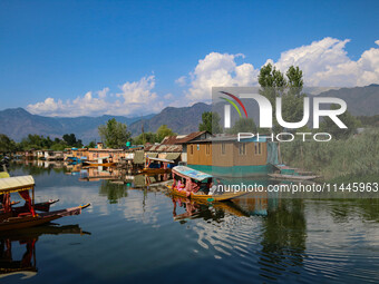 A man is rowing a boat on the waters of Dal Lake in Srinagar, Jammu and Kashmir, on July 31, 2024. (