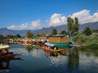 A man is rowing a boat on the waters of Dal Lake in Srinagar, Jammu and Kashmir, on July 31, 2024. (