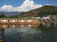 Children are taking a bath in Dal Lake on a hot summer day in Srinagar, Jammu and Kashmir, on July 31, 2024. (