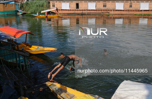 A child is jumping into the waters of Dal Lake on a hot summer day in Srinagar, Jammu and Kashmir, on July 31, 2024. 