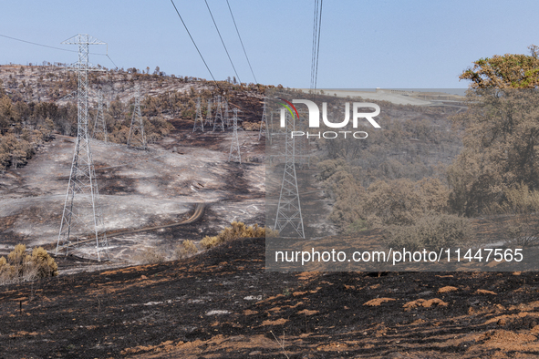 The aftermath from the Thompson Fire is being seen along Oregon Gulch Road, in Oroville, Calif., on July 28, 2024. Burning 3,789 acres in ea...