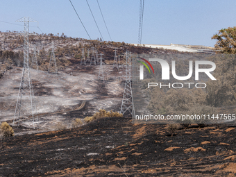 The aftermath from the Thompson Fire is being seen along Oregon Gulch Road, in Oroville, Calif., on July 28, 2024. Burning 3,789 acres in ea...