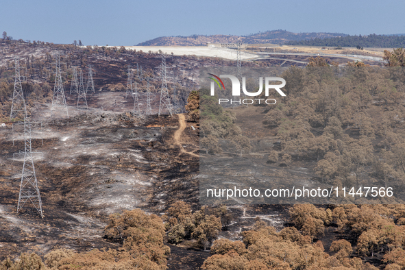 The aftermath from the Thompson Fire is being seen along Oregon Gulch Road, in Oroville, Calif., on July 28, 2024. Burning 3,789 acres in ea...