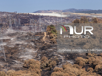 The aftermath from the Thompson Fire is being seen along Oregon Gulch Road, in Oroville, Calif., on July 28, 2024. Burning 3,789 acres in ea...