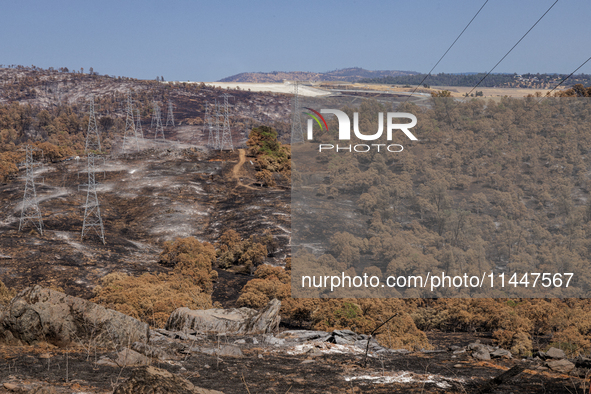 The aftermath from the Thompson Fire is being seen along Oregon Gulch Road, in Oroville, Calif., on July 28, 2024. Burning 3,789 acres in ea...