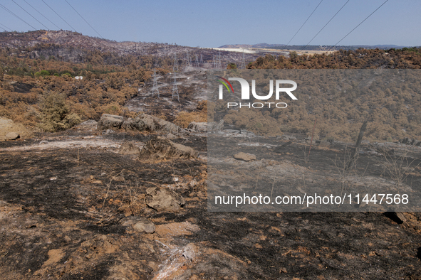 The aftermath from the Thompson Fire is being seen along Oregon Gulch Road, in Oroville, Calif., on July 28, 2024. Burning 3,789 acres in ea...