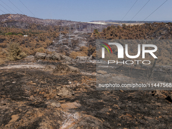 The aftermath from the Thompson Fire is being seen along Oregon Gulch Road, in Oroville, Calif., on July 28, 2024. Burning 3,789 acres in ea...